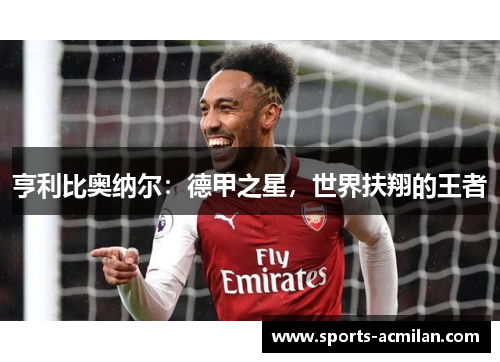 亨利比奥纳尔：德甲之星，世界扶翔的王者