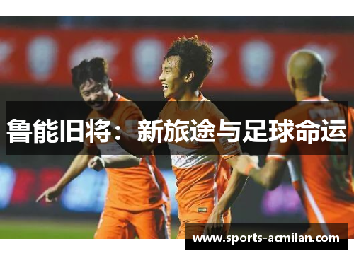 鲁能旧将：新旅途与足球命运